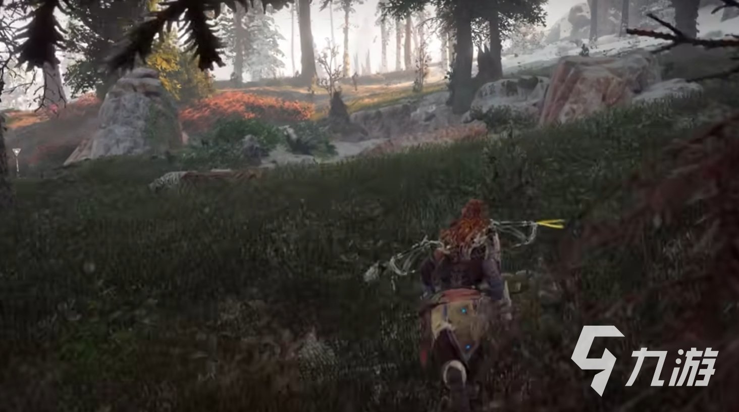 F1 2024 豪华版 截图14